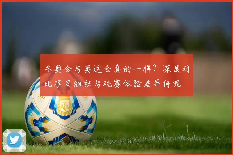 冬奥会与奥运会真的一样？深度对比项目组织与观赛体验差异何呢
