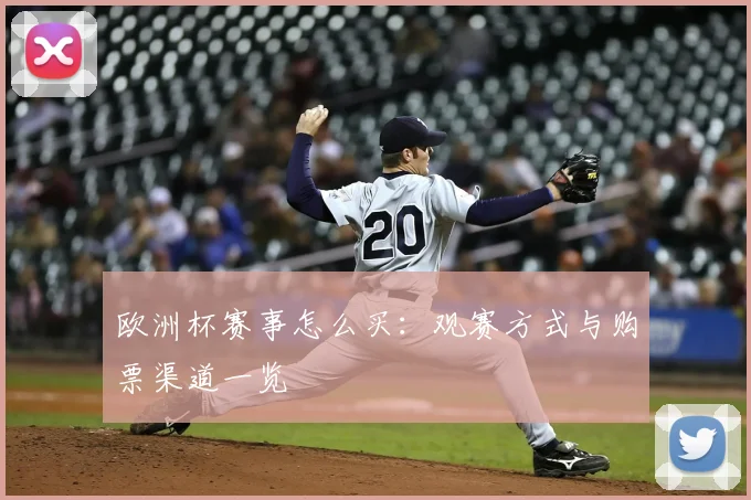 欧洲杯赛事怎么买：观赛方式与购票渠道一览