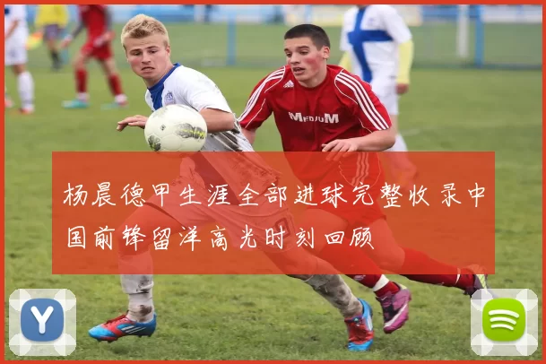杨晨德甲生涯全部进球完整收录中国前锋留洋高光时刻回顾