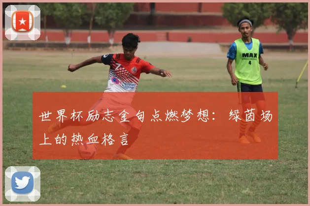 世界杯励志金句点燃梦想:绿茵场上的热血格言